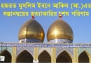 হজরত মুসলিম, মুসলিম ইবনে আকিল, কুফা, ইবনে যিয়াদ, ইমাম হুসাইন,